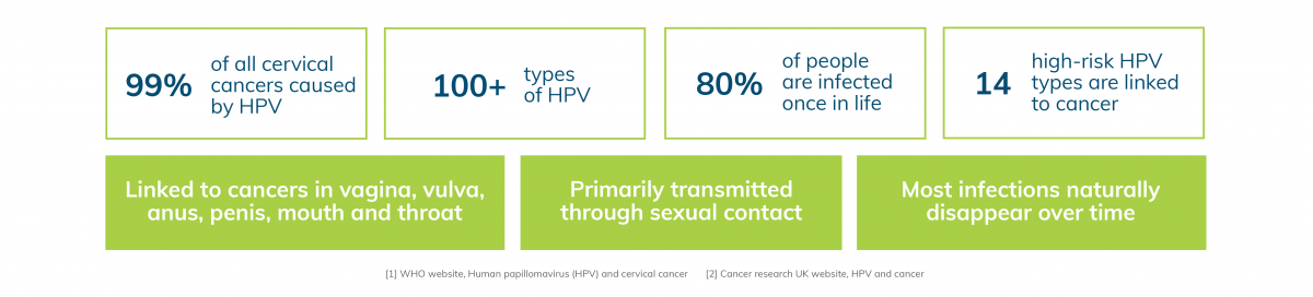 HPV graphic facts.png