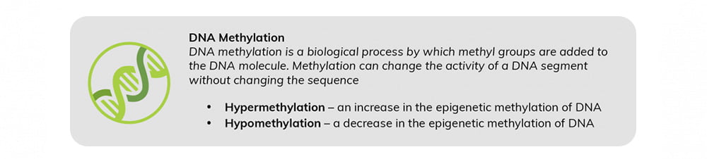 DNA methylation definition