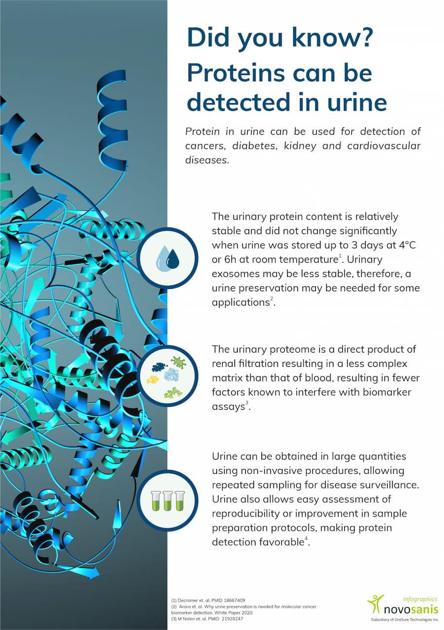 Protein detection in urine (infographic)