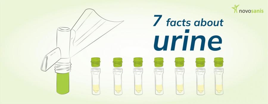 7 facts about urine