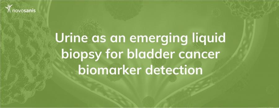 Urine as an emerging liquid biopsy for bladder cancer biomarker detection